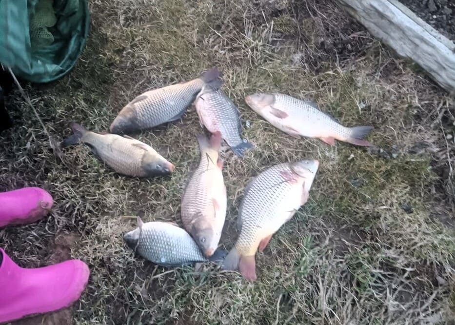 Офисы по адресу 